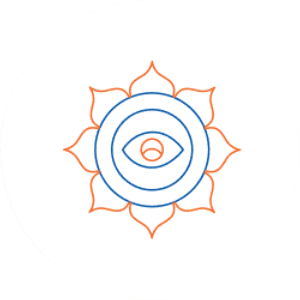 Eye Wellness